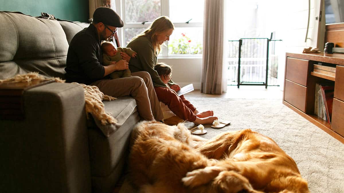 Keep Your Indoor Air Quality Healthy 5 blog AirPurificationSystems 1200x675 1